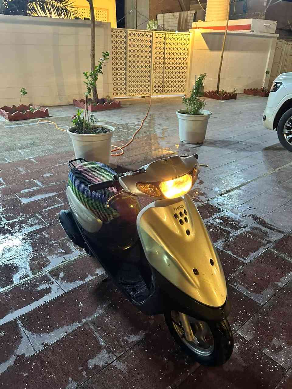 للبيع دراجة منغولي فحل دراجة حاوية صارلها 4اشهر من طالعه من الحاوية مابيها اي نقص ناصرية مركز ***********
