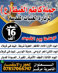 حملة كاظم الغيظ • ليلتين كربلاء • زيارة النجف