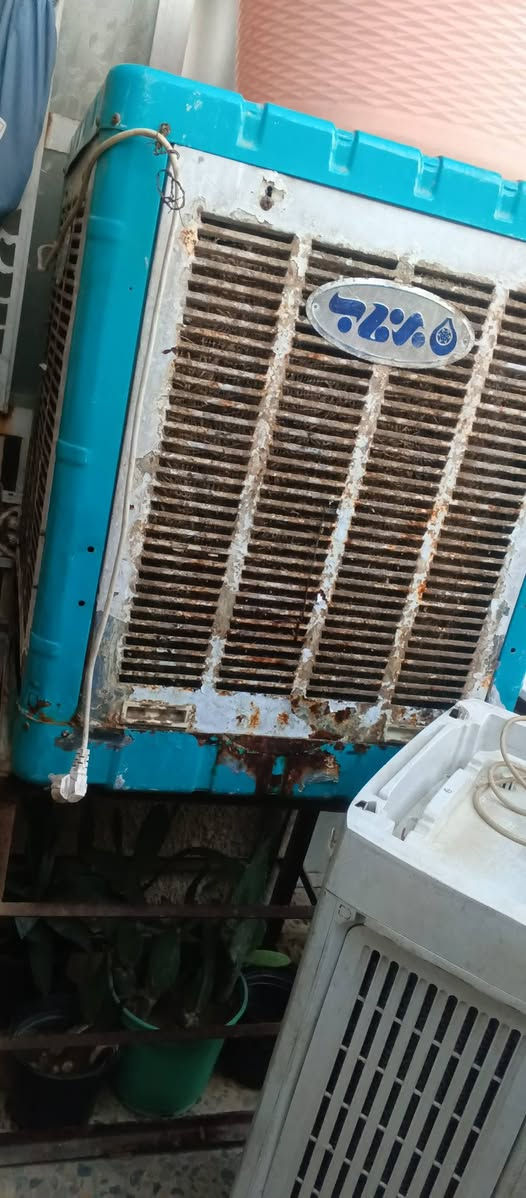 للبيع .كلهن شلعه وحده .شغالات
سعر 150كلهن.
