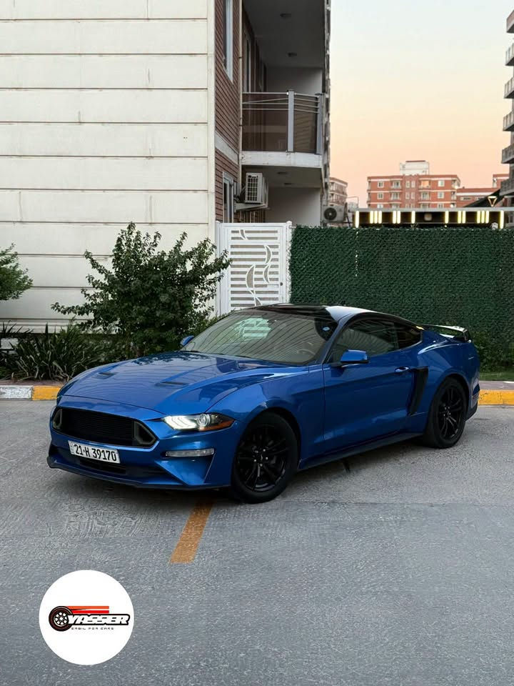 #بسعر_منااسب ‼️ قطعة صبغ بدون ايرباك ✅

𝐅𝐨𝐫𝐝 𝐌𝐮𝐬𝐭𝐚𝐧𝐠 𝐄𝐜𝐨𝐁𝐨𝐨𝐬𝐭 𝐏𝐫𝐞𝐦𝐢𝐮𝐦 • 𝟓𝟓𝐭𝐡•
الموديل : [ 𝟐𝟎𝟐𝟎 ]
المحرك : [ I4 / 2.3 - Turbo ] ⚡️
الگير : [ أوتوماتيك ] 
الممشى : [ 55 الف ميل ]
اللون : [ أزرق - مميز ] 🌊
الحالة : [ السيـارة وارد أمريكا ضررهـا جاملغ السائق فقط ! ]

[ لمعرفة السعر اترك تعليق داخل المنشور وسوف يصل اليك مباشر عبر رسالة نصية ] 📥

[ الـــــمـــواصــفـــــات ]

- السيـااارة فئـة 𝐏𝐫𝐞𝐦𝐢𝐮𝐦 فووول مواصفـات ( عدا الديجيـتال ) 

الموقع : [ بغـداد / الـدورة ] 📍

للتواصل واتس اب او اتصال : [ *********** ]

نص مكتوب في الصور:
- Ford Mustang EcoBoost Premium .. 55th ***********
- YASSER CREIL FOR CARS
- YASSER
- ERBIL FOR CARS
- VASSER ERBIL FOR CARS
- YASSER ERDIL FOR CARS
- CANDY FOR CARS