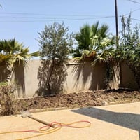 تنظيف حدائق • تقليم أشجار • الموصل