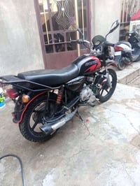 بوكسر • فحل • ٢٠١٧