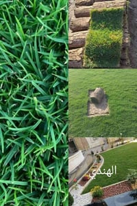 ثيل ثلاث فصول • ديالى