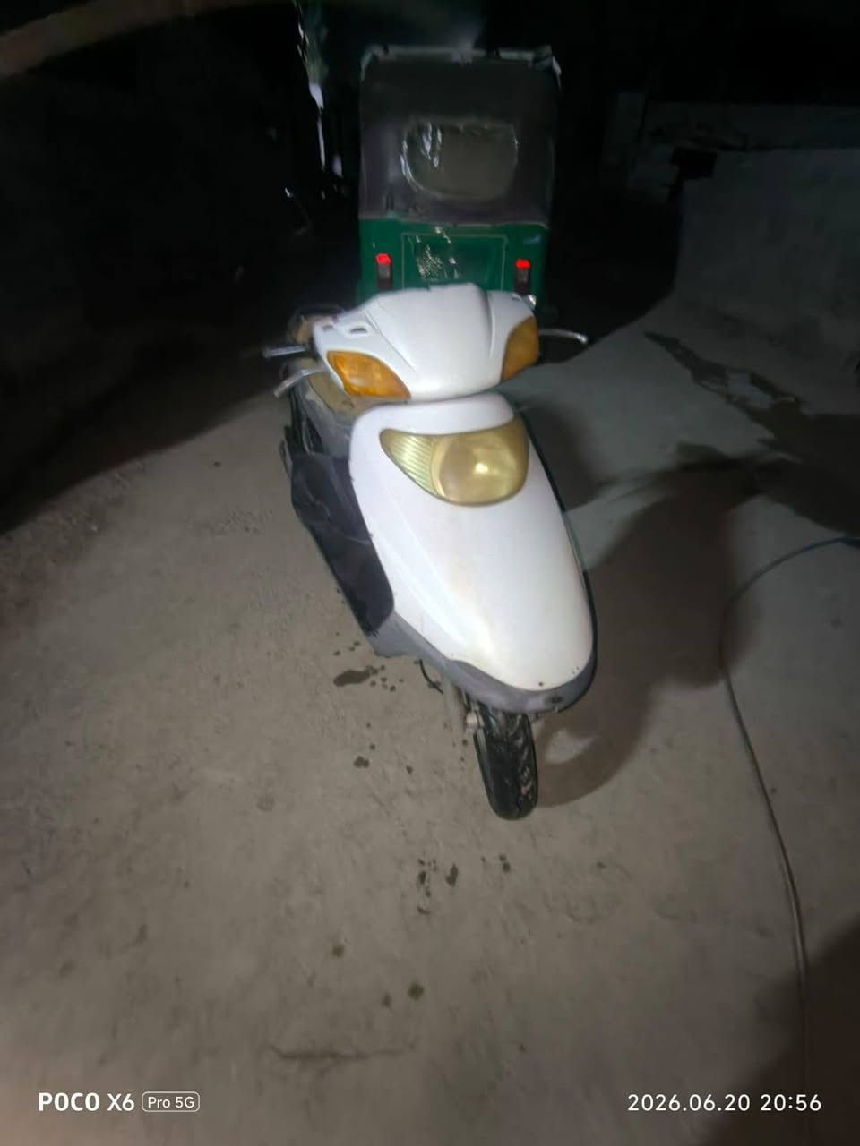 سبيسي • شغاله • فول