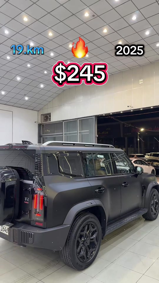 

نص مكتوب في الصور:
- 19.km 2025 $245