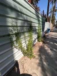 اللطي • رهنية • ٧٠م