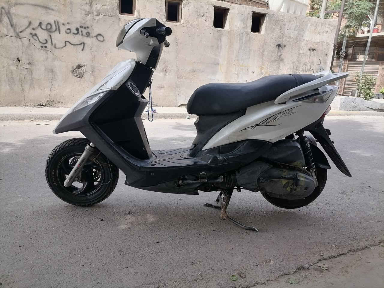 ثعلب • سلف • كفالة