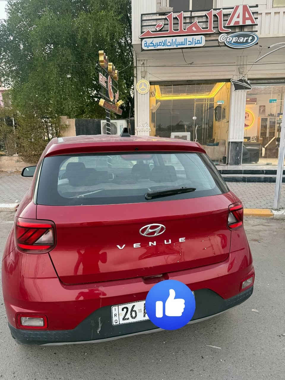 فينو 2021 بدون صبغ
سعر جوه السوك 
100$ 
***********
