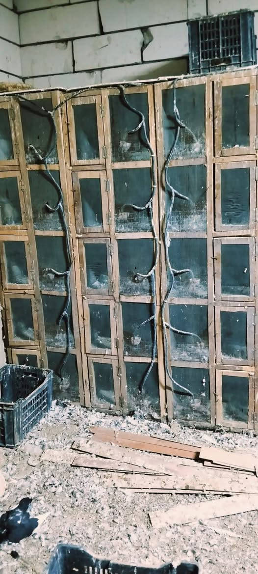 سلام عليكم ***********خانات امل 5 طولانيات العدد 9 خانات نضيفه هيه محاضن وطوافات كاملات مكاني الناصرية مركز بريدو هاذه رقمي وخابرني وتدلل مامتواجد عله الفيس بوك اذا ماعندك رصيد خابرني واتساب فقط الوجه 50 والرتفاع 45 والنزال 55 القياسات
