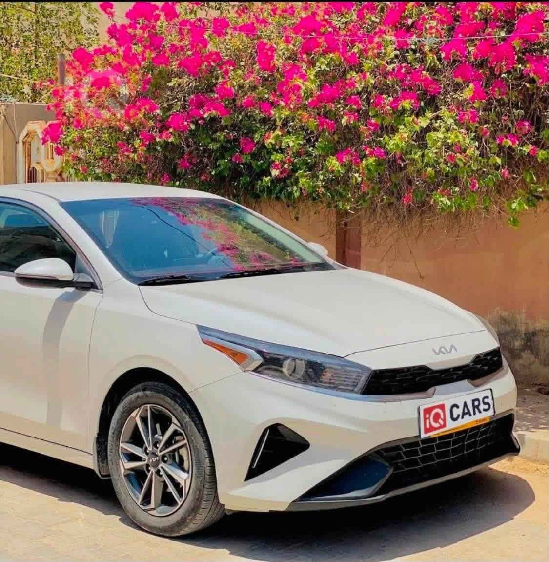 🚗 كيا فورتي 2023 للبيع 🚗
المواصفات العامة:
المحرك: 2000 دوش (DOHC).
المسافة المقطوعة: 78 ألف ميل.
الحادث كما هو موضح في الصور المرفقة.
التعديل: راجع على البارد بدون تبديل
✨ المواصفات والأنظمة الذكية ⬇️
🔹نظام تحكم ذاتي وتحديد مسار.
🔹رادار وقوف ذكي.
🔹حساسات أمامية وخلفية.
🔹3 وضعيات قيادة مختلفة (Drive Modes).
🔸إشارات ضوئية بالمرايا الجانبية.
🔸تدفئة بالمقاعد (الكشنات).
🔸نظام تكييف متكامل (قطعتين تبريد).
🔸شاشة عرض تدعم نظام كابتن كاربلاي (Apple CarPlay).
السياره في محافظه المثنى
📞 للتواصل والاستفسار:
⚠️ ملاحظة: متواجد فقط عبر الهاتف والواتساب (غير متواجد على الفيسبوك).
رقم الهاتف: ***********
