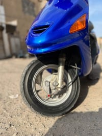 فراشة • فحل • مامفتوح