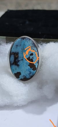 رضويه مصوره أكثر من تصوير بيه شخصيه معروفه مثل ما ماشر عليه اصليه فضه9...