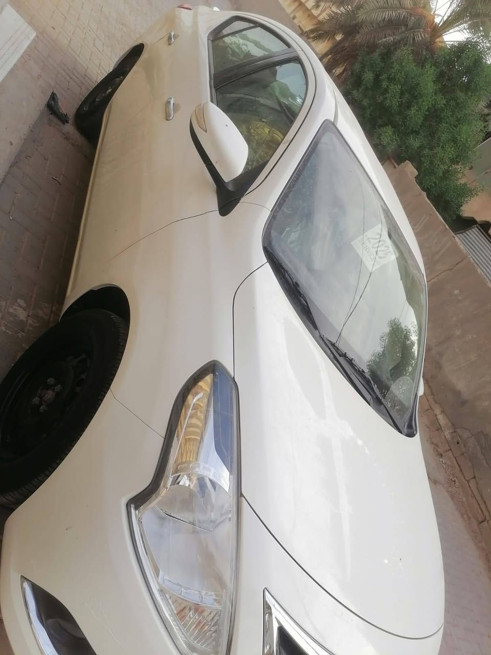 صني • ٢٠٢٥ • ديوانية
