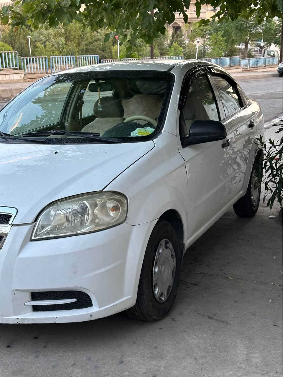 افيو ٢٠١١ • جير عادي • زينيون