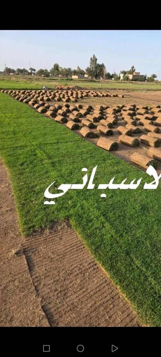 شركة ديالى للثيل الطبيعي 🌿
✨ نقدم لكم أفضل أنواع الثيل الطبيعي عالي الجودة ✨
✔️ يتحمّل جميع الظروف البيئية 🌦️🌞
✔️ دائم الخضرة وجذاب المنظر 🌳
✔️ بأسعار تنافسية وعروض مميزة 💸❤️
🚛 توصيل مجاني خلال 24 ساعة
👷‍♂️ ضمان جودة في العمل والتجهيز
نُقدّم خدماتنا في:
🏡 فرش وتجهيز الحدائق
🏢 دوائر الدولة
🏠 المنازل
🏟️ الملاعب والمنتزهات
💰 الأسعار تختلف حسب الكمية
📞 للاستفسار والتواصل:
📱 ***********
📱 ***********
أو راسلونا عبر صفحة الفيسبوك أو الواتساب مباشرة.

نص مكتوب في الصور:
- لاسباني
- Greenbough.ie
