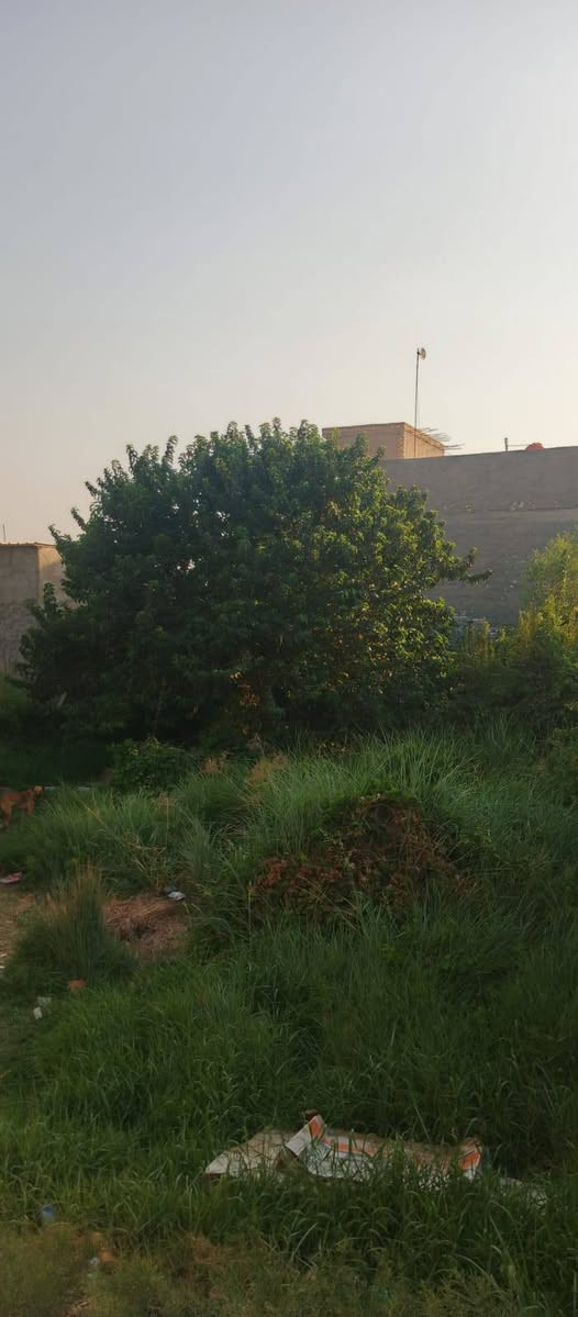 سلام عليكم قطعة 600متر مزروعه معا بيت مساحته 200 المساحه الكليه 800متر طابقين طابق ارضي يصلح قاعه تدريس أو مخزن والطابق الثاني بيت يحتوي على اثنين غرف نوم و مطبخ وصاله واستقبال سند 25زراعي بناء درجه اولى طابوق صب كونكريت  المكان كربلاء طويريج شارع الحولي مقابيل الشط الاستفسار الاتصال على الرقم ***********
