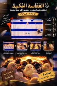 🐣🔥 فقاسة بيض بسعة 100 إلى 120 بيضة 🔥🐤 💡 تشتغل بربع أمبير ⚡ 🔋 تشتغل على...