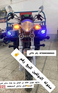 ستوته • الدولفين • النجف الرضويه