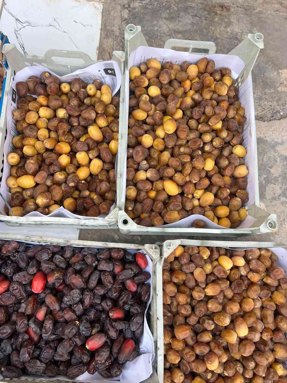 سلام عليكم 
متوفر تمر برحي حوش اليوم
مال الديره  (العلم )
اتصال ***********
