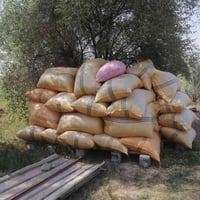 تبن برسيم مجروش • شليف ٤٠ • اللطيفية ك١٤
