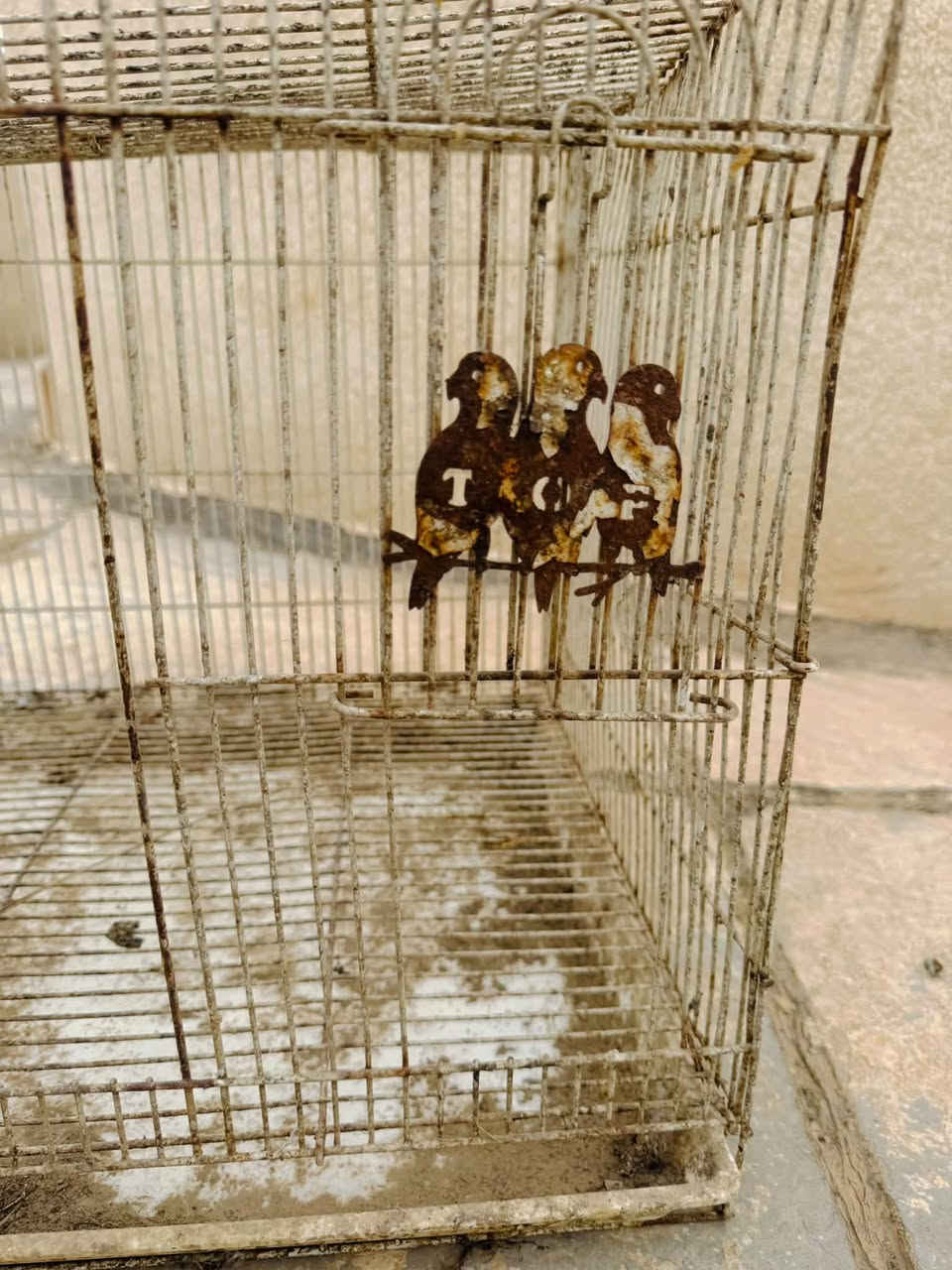 قفص حديد • عوزه غسيل