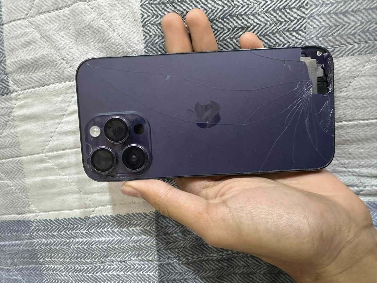ايفون 14 برو ماكس • ٢٥٦ • ظهر مفطور
