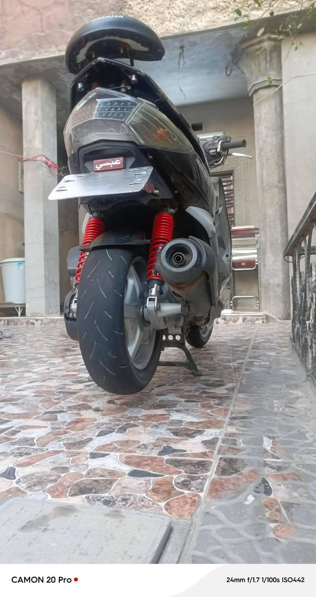سكنس فحل • نامه • مرفوعه