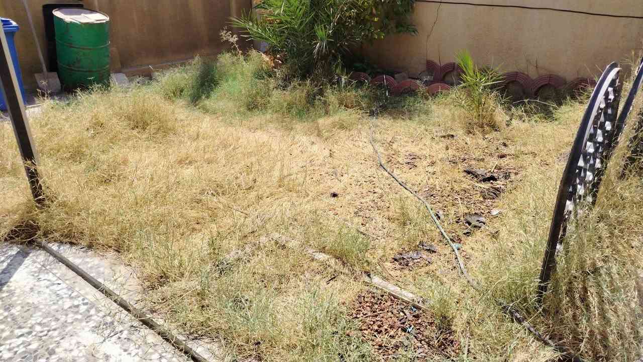 السلام عليكم
اريد عامل يگلب هذا الحديقة وينظفها تنظيف كامل من الدغل والزرع اليابس
ويلم الادغال بكياس جنفاص بمكانها
والشغل يكون العصر
يعني شغلة ساعتين ويخلص ان شاء الله
المكان البنوك سوق النداوي
