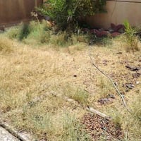 تنظيف حديقة • ساعتين • سوق النداوي
