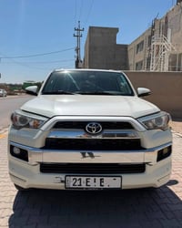 فور رنر لميتد • ٢٠١٩ • ٧ راكب