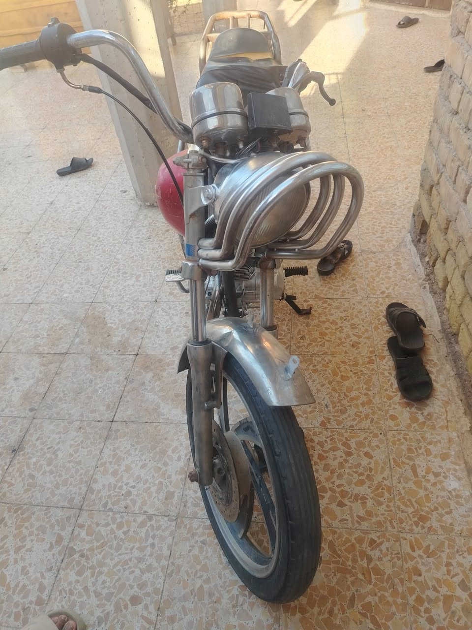 جونده • اوراق • اصوليه
