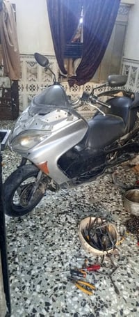فورزه • تفصيخ • ٢٠٠٩/٢٠٠٨