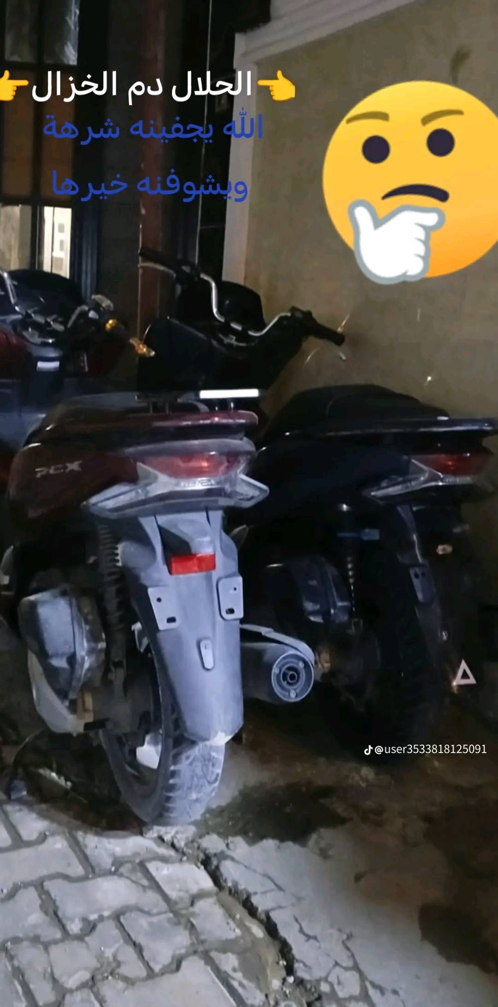 هوندا PCX • ١٢٥ • بغداد