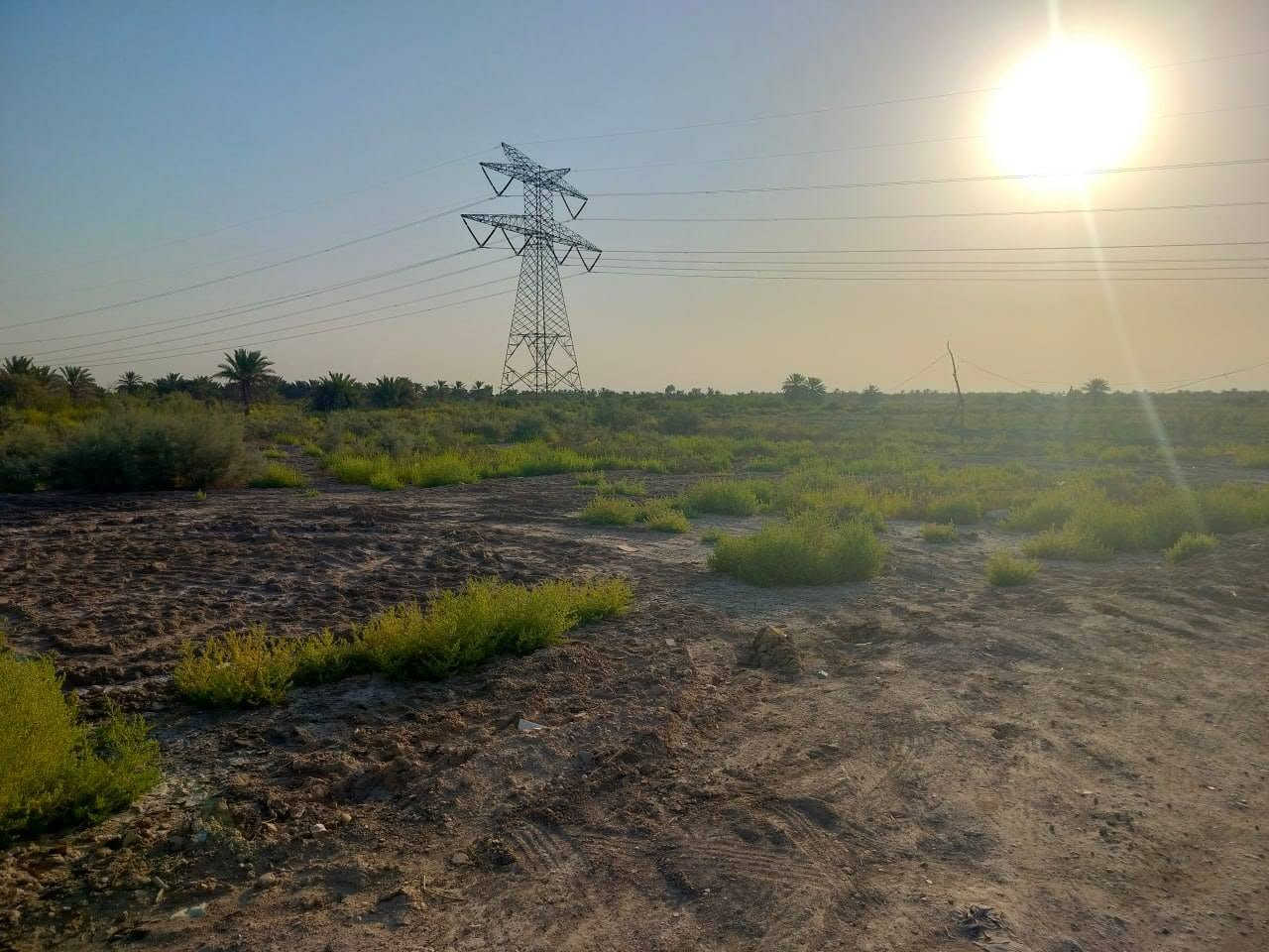 🔥 فرصة استثمارية نادرة – دونم للبيع في موقع مميز 🔥
للبيع قطعة أرض زراعية بموقع ممتاز في محافظة بابل
📍 الموقع:
بابل – قضاء المسيب – ناحية سدة الهندية – منطقة الحصن، قرب الشارع العام.
🌾 تفاصيل الأرض:
✅ المساحة: دونم كامل.
✅ سند رسمي (25).
✅ شارع واصل إلى القطعة.
✅ كهرباء ومياه متوفرة.
✅ موقع سهل الوصول وقريب من الطريق العام.
✅ مناسبة للزراعة أو كاستثمار طويل الأمد.

إذا تبحث عن أرض بموقع مميز وسهلة الوصول، فهذه فرصة تستحق المعاينة.
📞 للتواصل والاستفسار أو تحديد موعد للمعاينة، يرجى مراسلتي على الخاص أو الاتصال على الرقم:
( ***********)
الرجاء مشاركة المنشور، فقد يكون أحد معارفكم يبحث عن أرض بهذه المواصفات.

