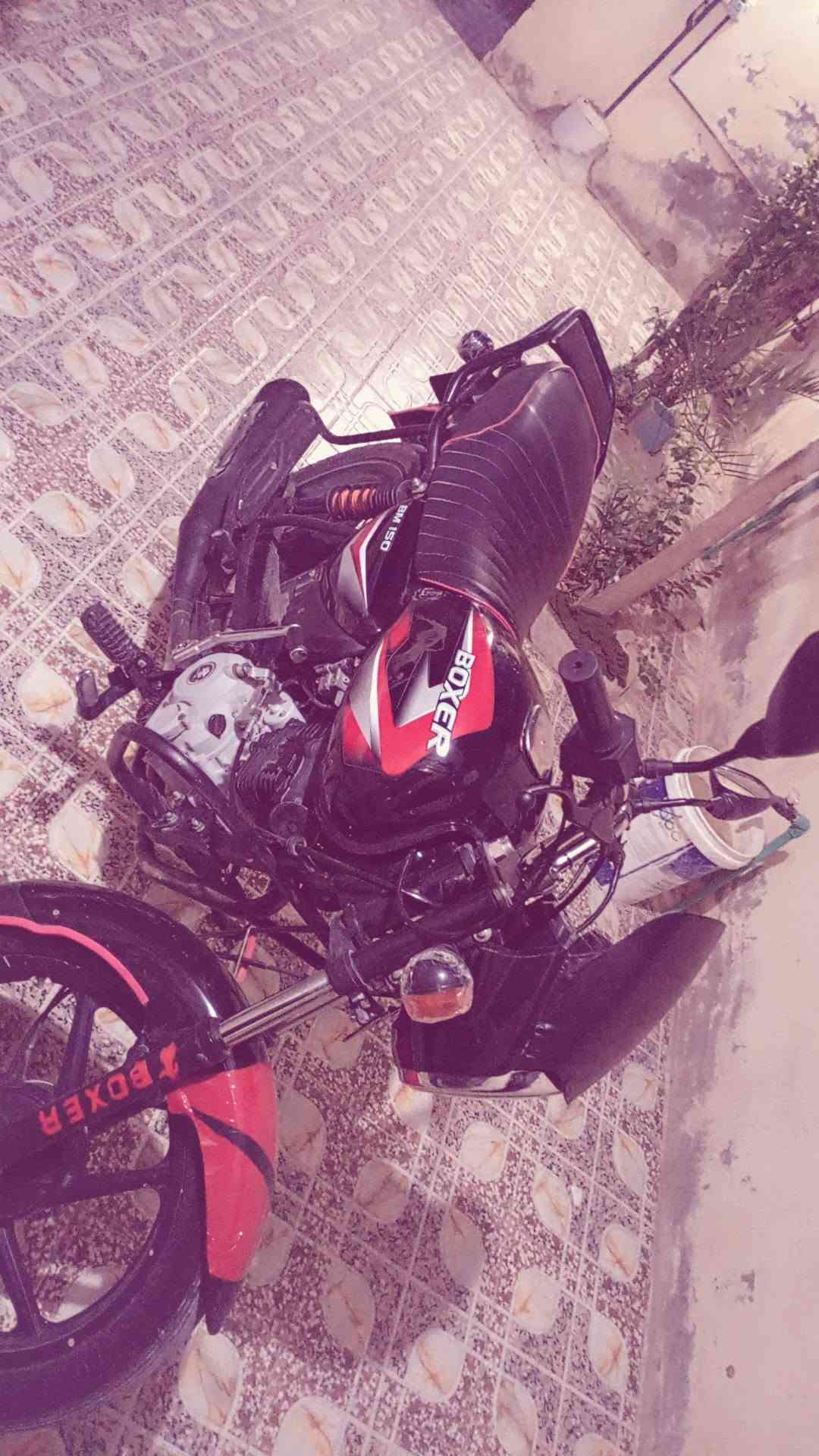 السلام عليكم بوكسر موديـل 21نازل بل 2022 محرك كفاله عامه  ممفتوح بلادي ممبدل برغي بي عل قول دراجه ناعمه وممتعوبه خير من الله وكامله اوراق أصولية شرط الترقيم بـ 1200 وبي مجال قليل حك الجيه مكاني ديالى تقاطع الوجيهيه 🩶. ***********
