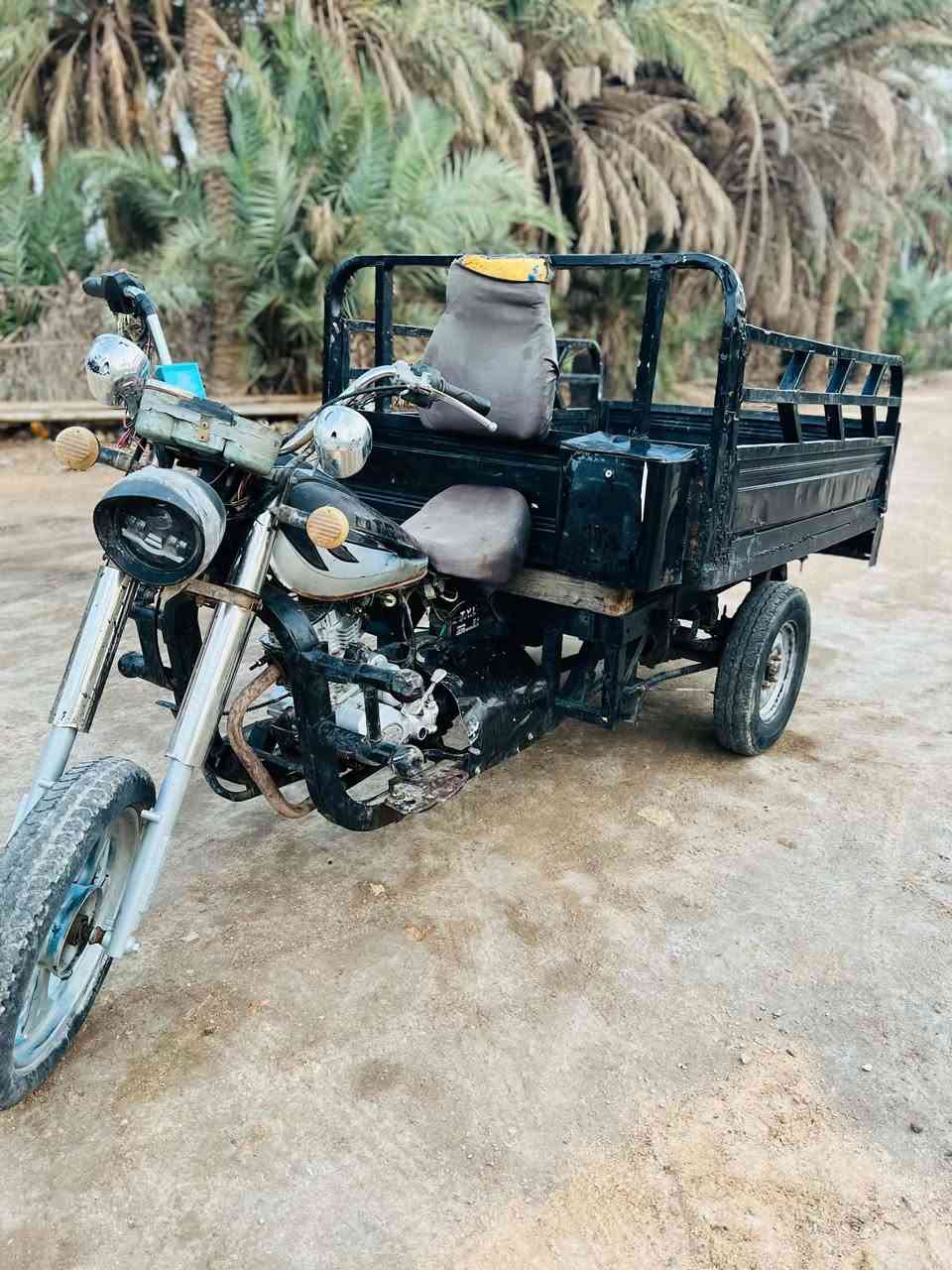 ستوته • ٢٠١٢ • اوراق