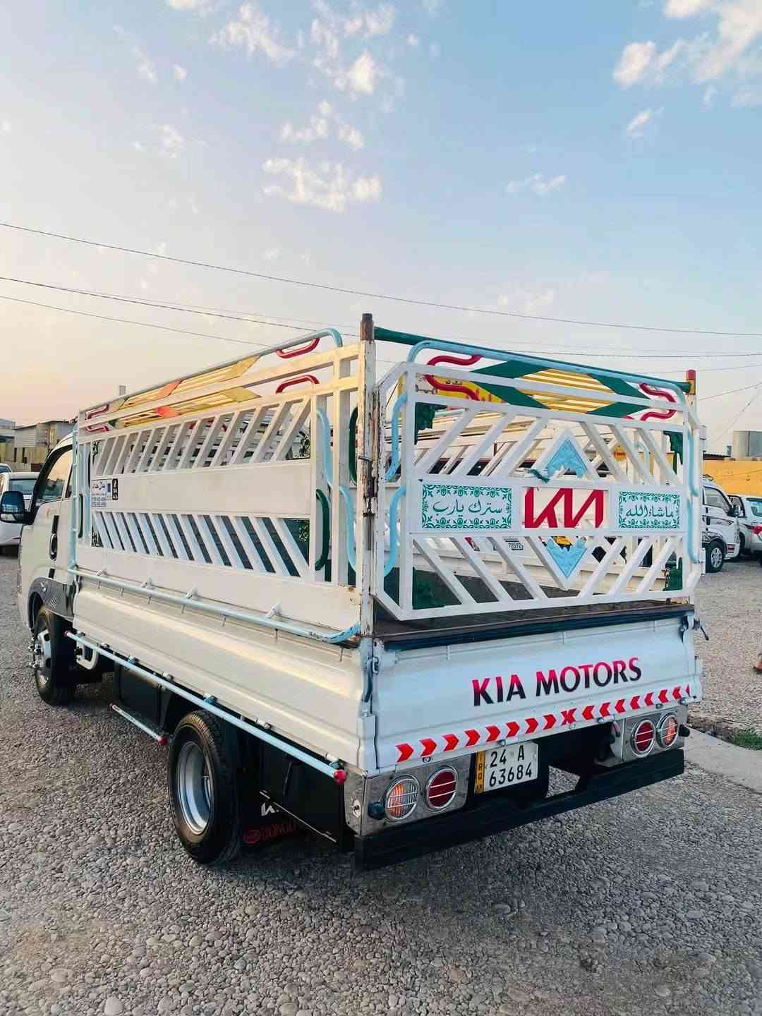 حمل فحل • صبغ عام • ٢٠١٦