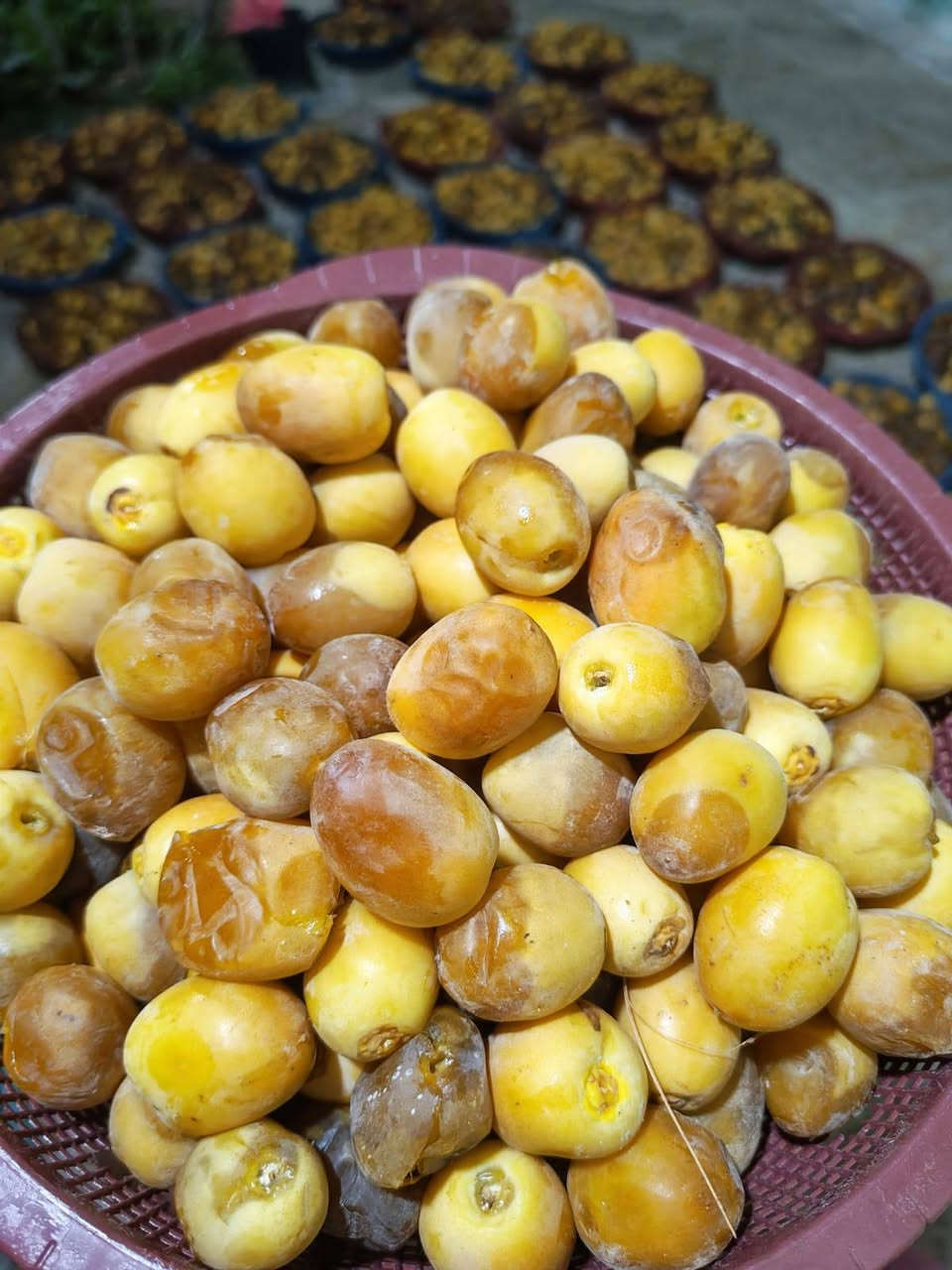 رطب برحي • درجة اولى • توصيل النجف