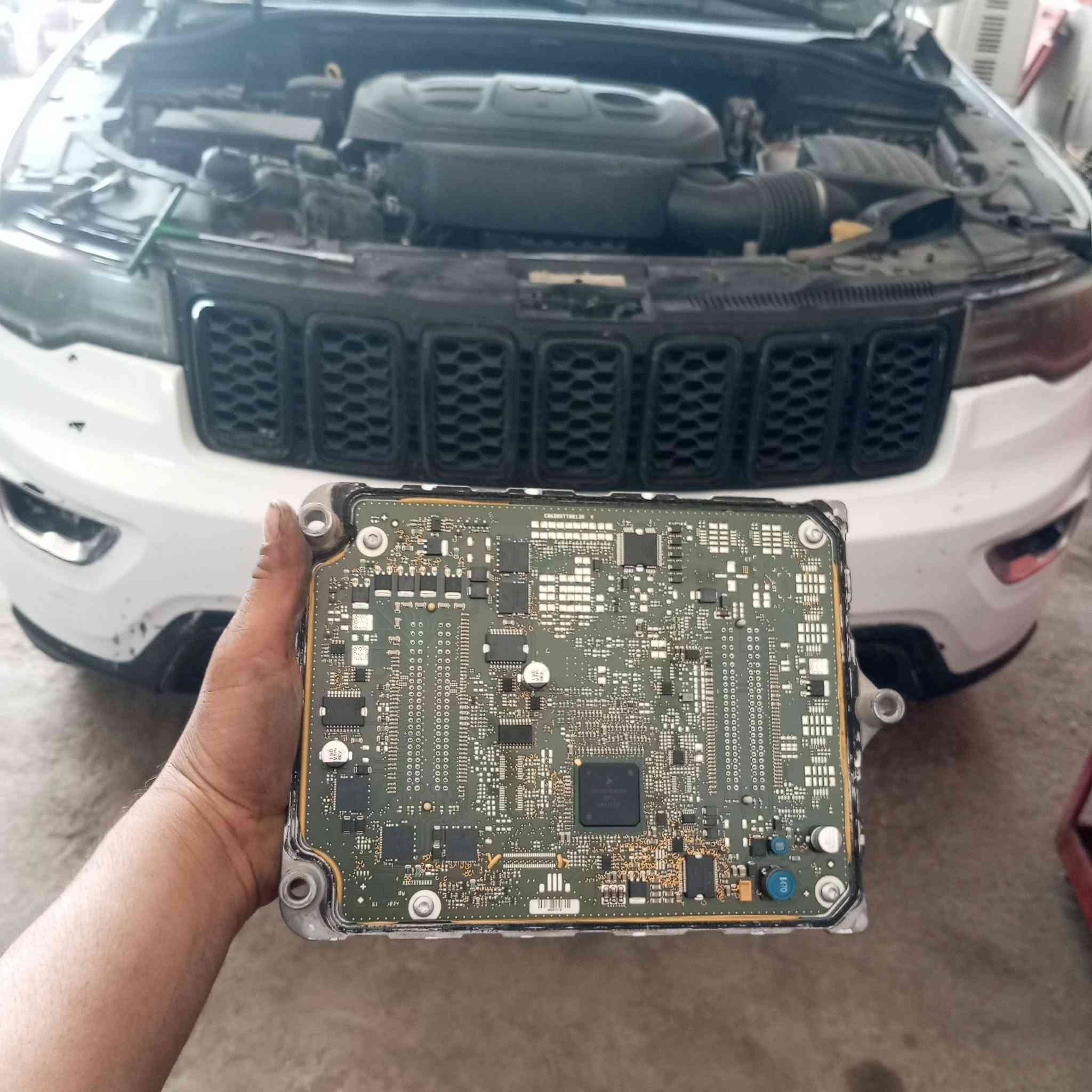 تحيه طيبه لكم
دوج جورني مكينه 2400 تنظيف نوزلات تبديل ابلكات تنظيف جويتر تبديل فلتر بانزين تبديل فيت بم  تبديل فلتر شوته 

جيب شيروكي. برمجة مراوح ع درجة 94 

دوج افنجر مكينه 2400 تنظيف نوزلات تبديل ابلكات تنظيف جويتر تبديل فلتر شوته 

دوج جورني مكينه 3600 برمجة مراوح ع درجة 94.
تبديل سمجه  تنقيص ماء 

#العنوان_الناصريه_الثوره_نهاية_الشارع_المركز_السايدين 
***********
***********
