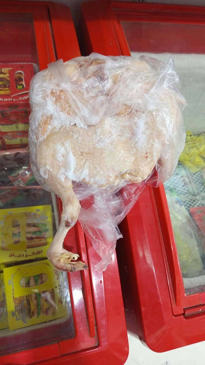 دجاج ذبح عراقي • كبه ٧ قطع • حي الصادق
