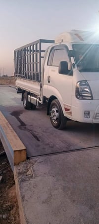 كيا فحل • ٢٠٢٠ • مدينه الصدر