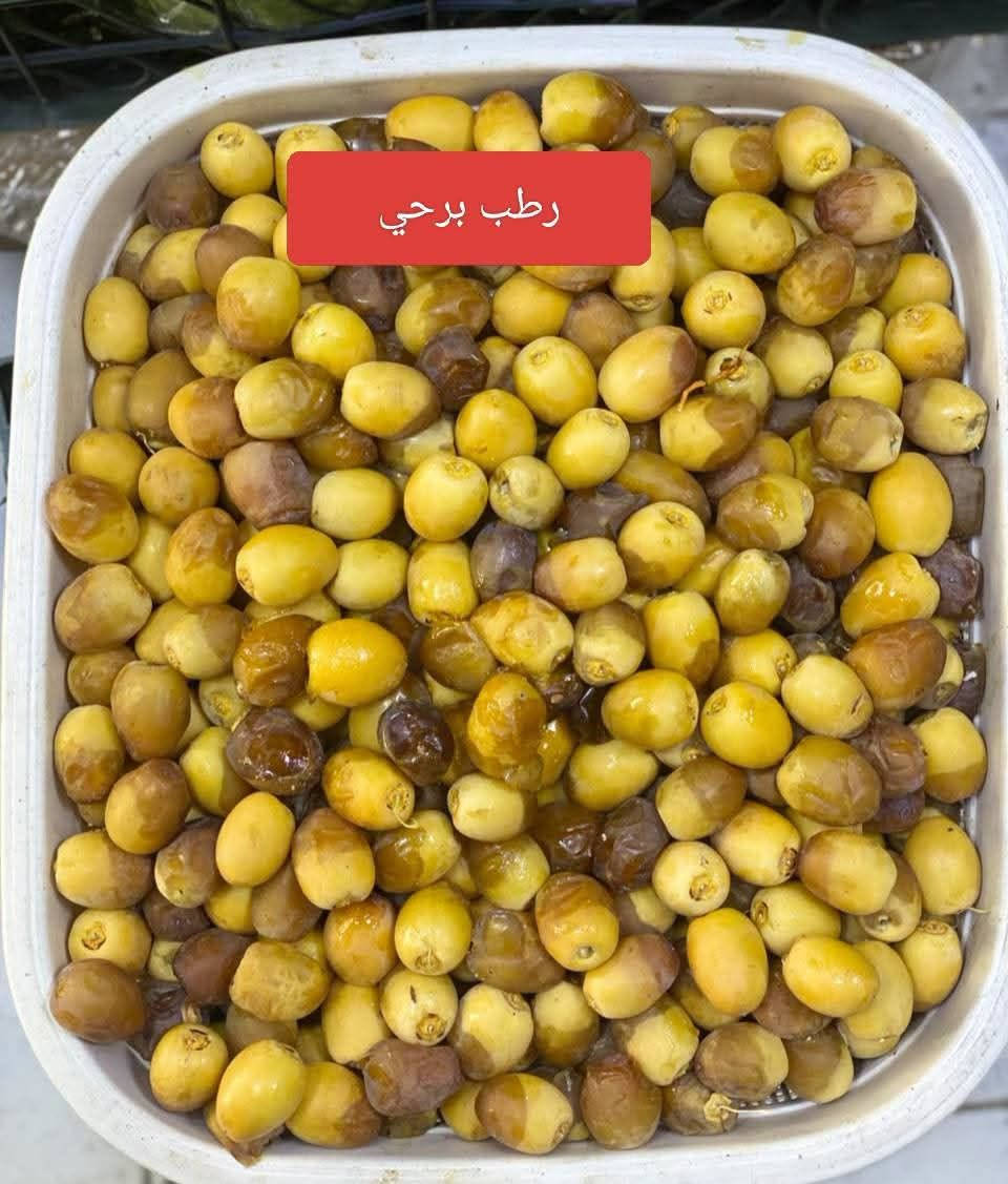 رطب برحي • درجة اولى • توصيل