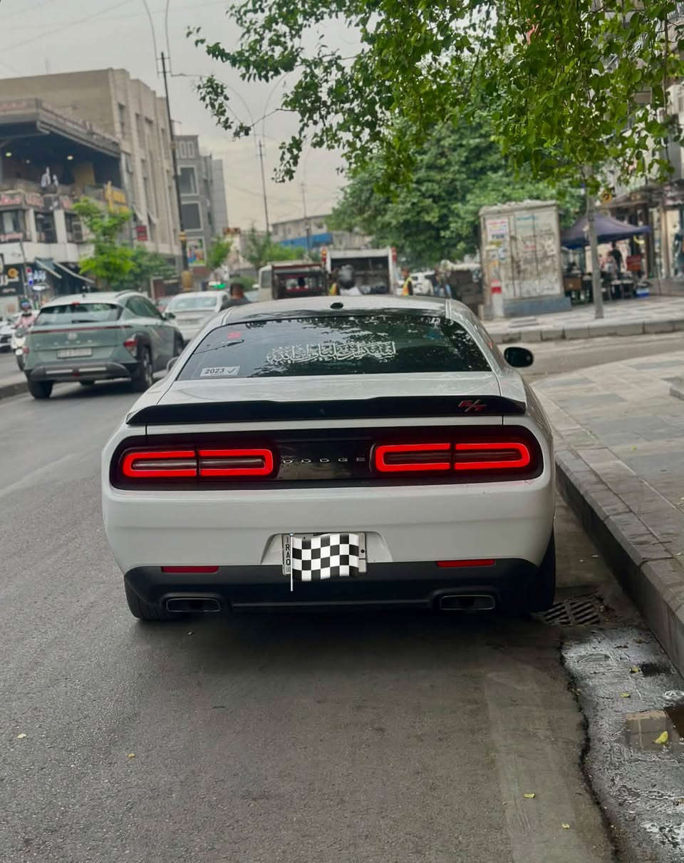 RT • موديل ٢٣ • بدون رقم