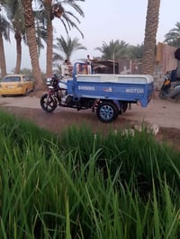 ستوته • فحل • ٢٠٢١