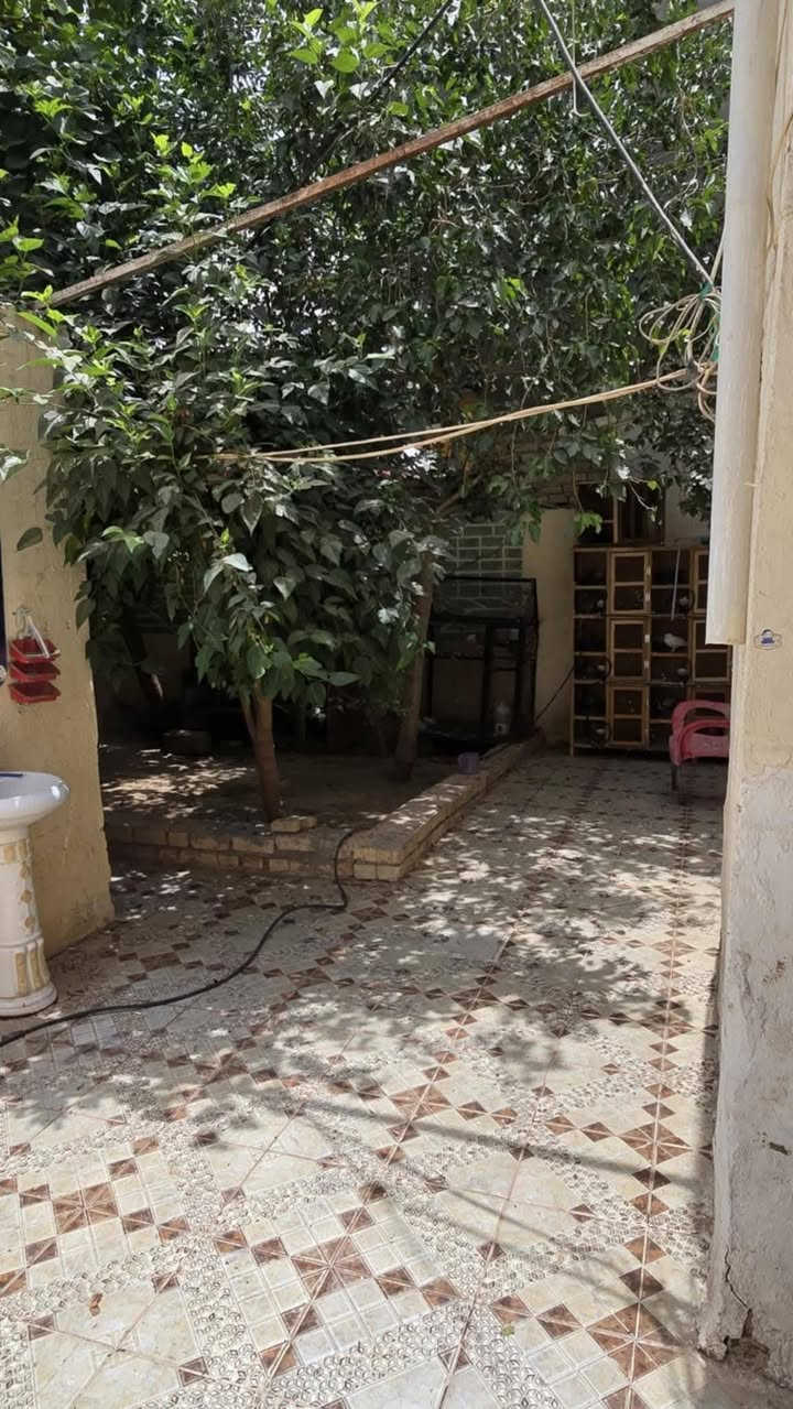 طوريج حي الجمعية • ٢٢٠م • طابو