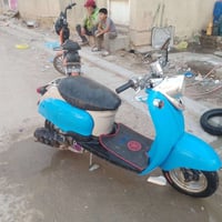 عبد الحليم • دبل سكليتر • شغاله