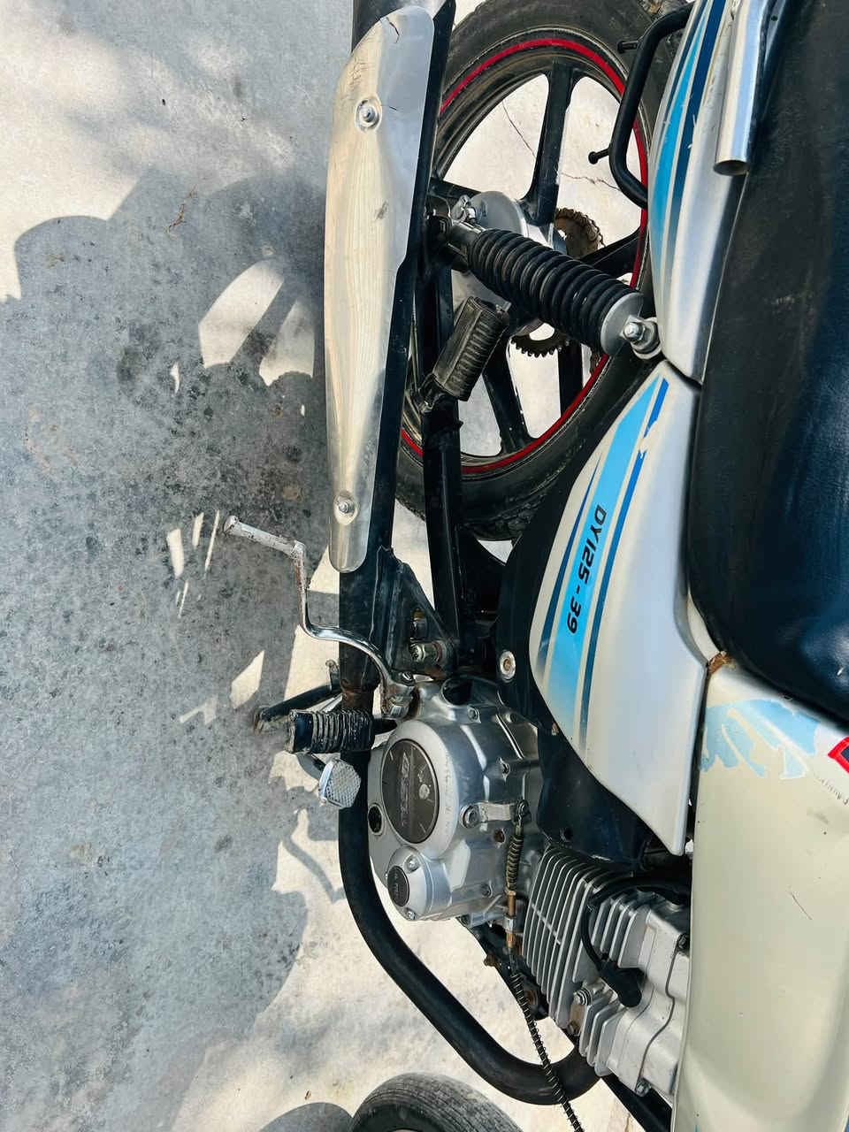 ديوان • كلك • موديل٢١