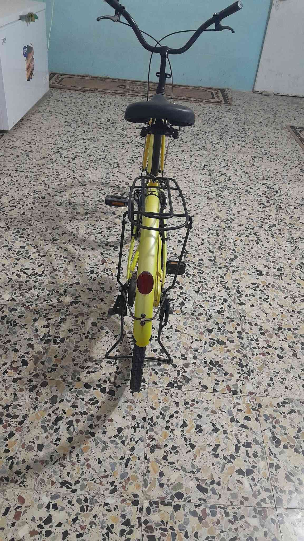 كربلاء • باسكل • ٢٦