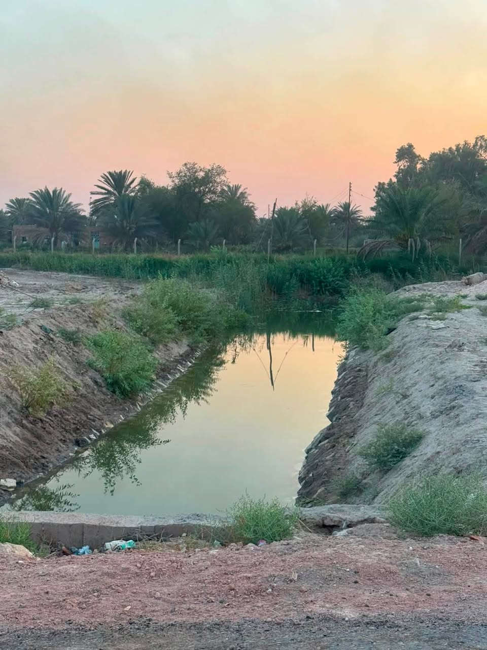 السلام عليكم 
دوانم لبيع كم دونم تريد موجود 
طابو سند٢٥
كافه الخدمات متوفره 
تبليط 
مسيجات صب جاهز
كهرباء ⚡️ 
ماء سقي وبير واساله 
كل دونم يحتوي ع ٣٠ نخله برحي ومكتومي 
الكفل مفرك نجف كربلا بصف محطه اسد النجف  تبعد عن الشارع العام ٢٥ متر

اسعار مناسبه

***********
