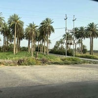 ارض للبيع لاصحاب الامكانيه القليله  جايبلك 6 دوانم السعر 7 مليون قفل ل...